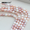 8mm Multicolor Oval Freshwater Pearl Strings AA quality 