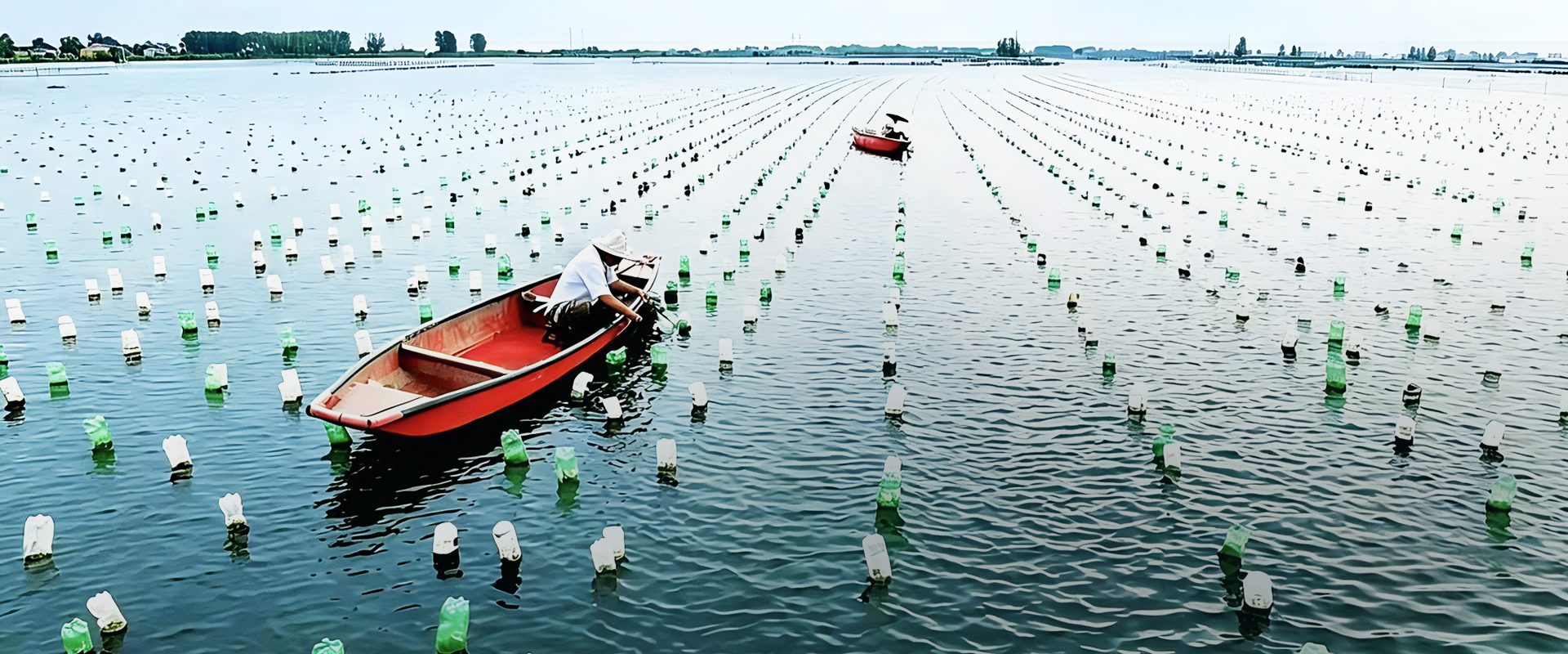 Xueluo freshwater pearl farm in Zhuji China