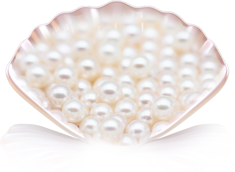 white freshwater pearls in shell for pearl cultivation guide